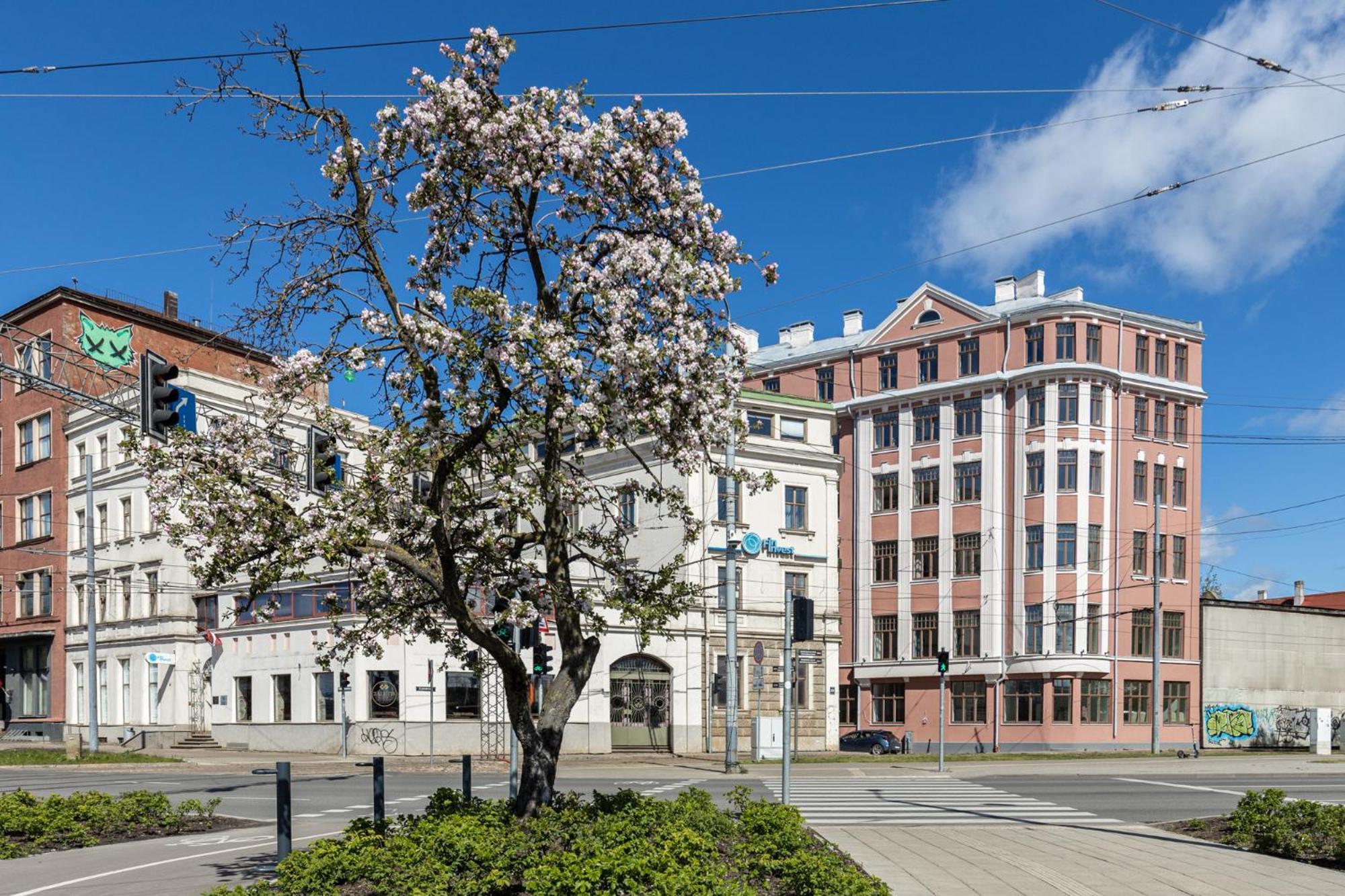 Perfectly Located Old Town Appartement *